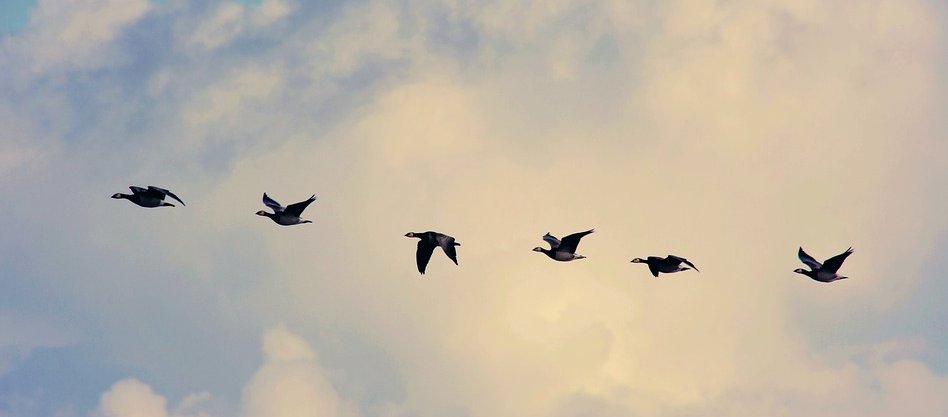 Avoid Models in Rails Migrations